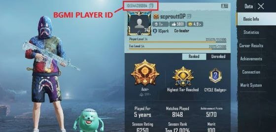 BGMI User ID Guide